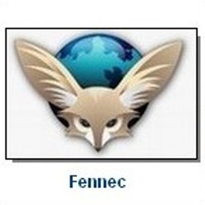 91fennec1