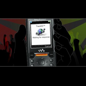 290trackid-dziala-nawet-w-trudnych-warunkach