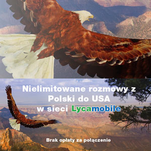 darmowe-rozmowy-do-usa-w-lycamobile