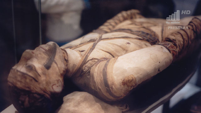 lumia-to-mumia-w-bogatych-krajach