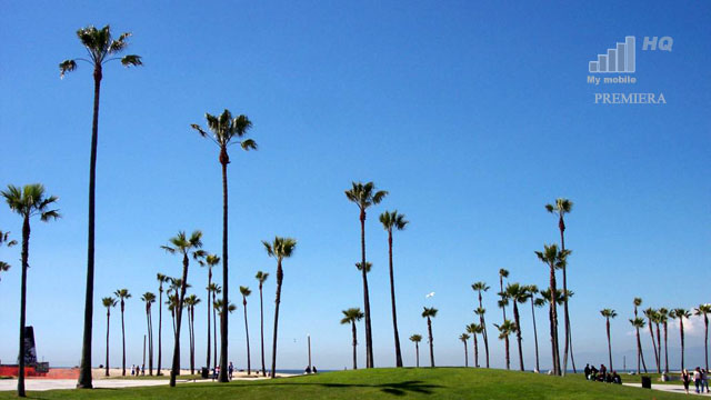 kalifornia-mekka-swiata-it-oraz-mobilnosci