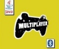 Multiplayer Java