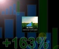 Marka My mobile notuje wzrost 163%