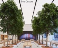 Piękne są te salony Apple z drzewami, które notuje zadyszkę