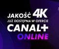 Canal+ Online nareszcie nadaje w 4K