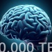 PREMIERA: Procesy ludzkiego mózgu ważą 500.000 TB