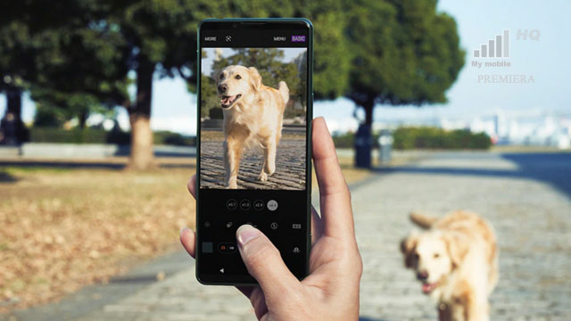Skórcze kciuk a palec wskazujący od używania smartfonu telefonu